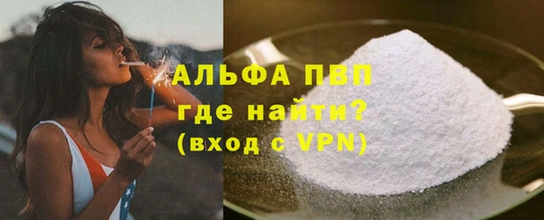 прущие грибы Михайлов
