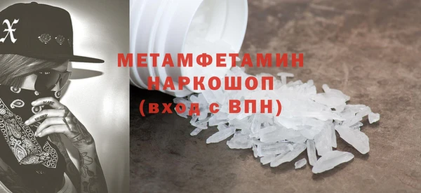 прущие грибы Михайлов
