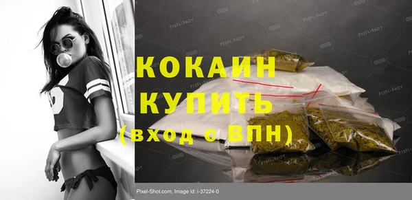 прущие грибы Михайлов