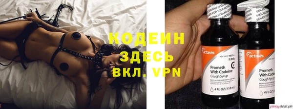 прущие грибы Михайлов