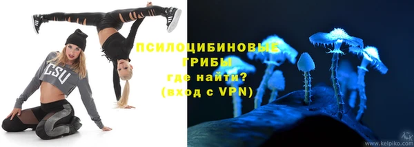 гидропоника Михайловка