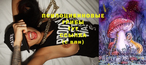 гидропоника Михайловка