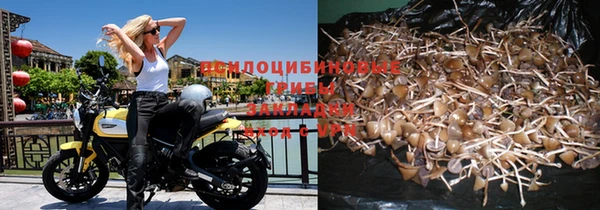 прущая мука Михайловск