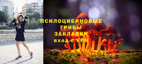 прущие грибы Михайлов