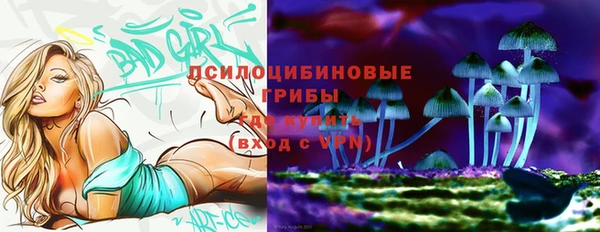 дурь Медногорск