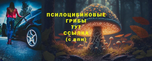 эйфоретик Мегион