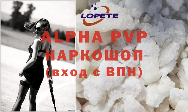 прущие грибы Михайлов